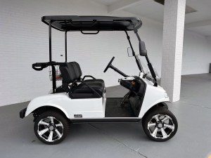 Evolution Pro Golf Ready Golf Cart Lithium 02